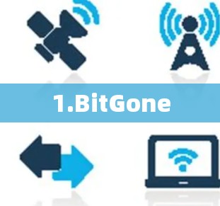 1.BitGone 1.BitGone
