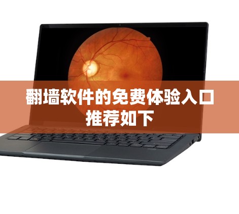 翻墙软件的免费体验入口推荐如下