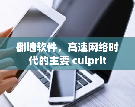 翻墙软件,高速网络时代的主要 culprit 翻墙软件,高速网络时代的主要 culprit