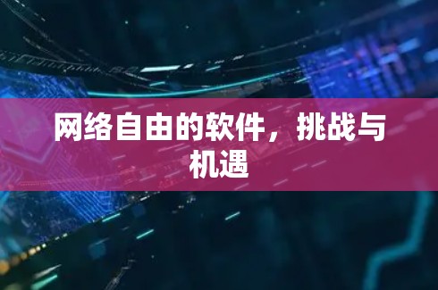 网络自由的软件，挑战与机遇