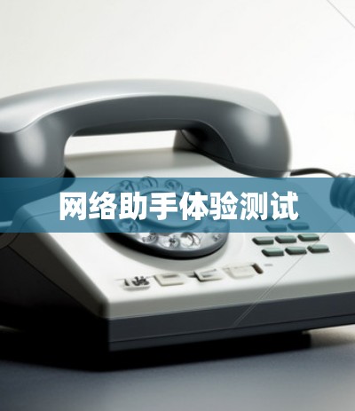 网络助手体验测试