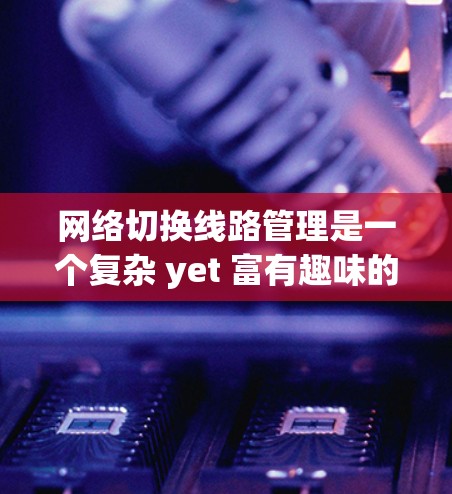 网络切换线路管理是一个复杂 yet 富有趣味的领域，涉及多个技术、协议和应用场景。以下是对该领域的一些有深度的总结和扩展