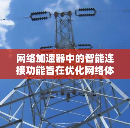 网络加速器中的智能连接功能旨在优化网络体验，提供更高效和个性化的网络连接解决方案。以下是对不同网络加速器中可能的智能连接功能的总结