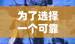为了选择一个可靠的网络加速器并评估其稳定性，可以按照以下步骤进行