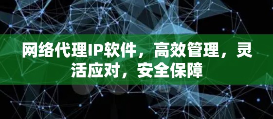 网络代理IP软件,高效管理,灵活应对,安全保障 网络代理IP软件,高效管理,灵活应对,安全保障