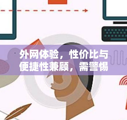外网体验，性价比与便捷性兼顾，需警惕网络风险