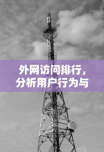 外网访问排行，分析用户行为与优化建议