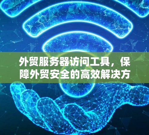 外贸服务器访问工具，保障外贸安全的高效解决方案